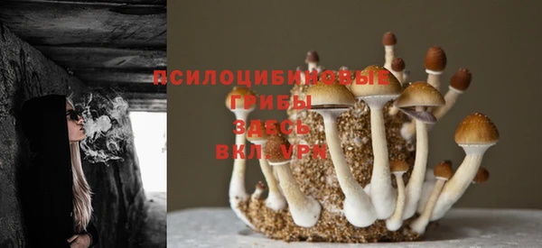 винт Сосновка